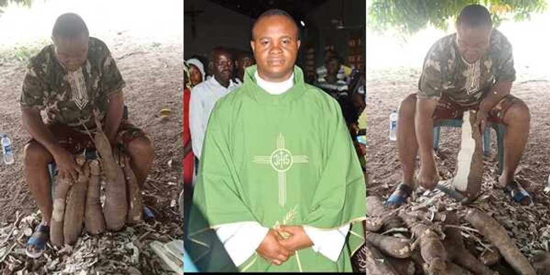 Father Austine Afehe, a priest in the Catholic Diocese of Gboko, Benue State is celebrating his huge harvest Father Austine Afehe, a priest in the Catholic Diocese of Gboko, Benue State is celebrating his huge harvest