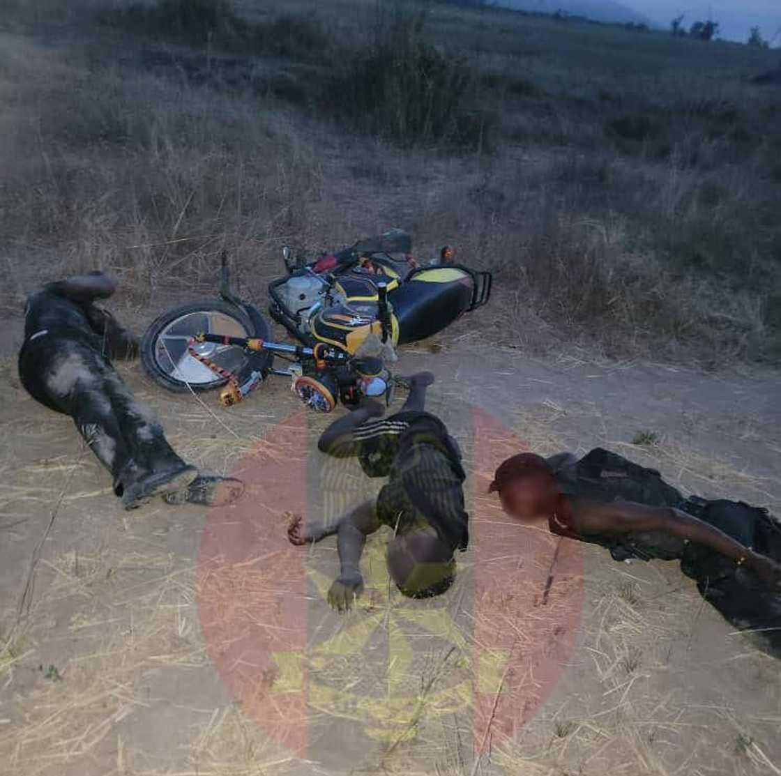 Wadanda sojoji suka kashe a Adamawa Wadanda sojoji suka kashe a Adamawa