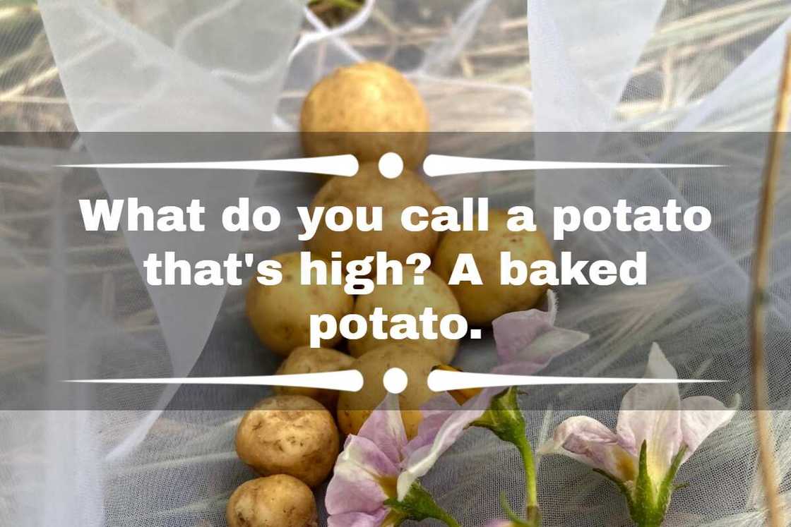 Baked potato jokes