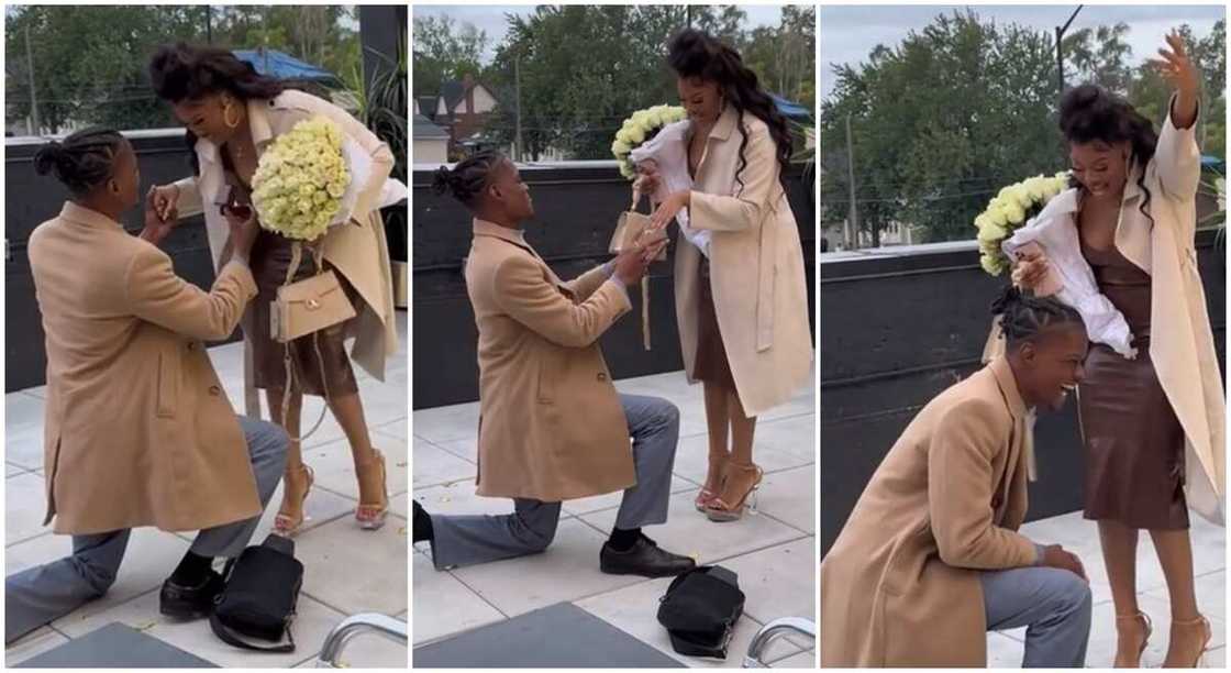 Young man proposes to his woman, proposal video.