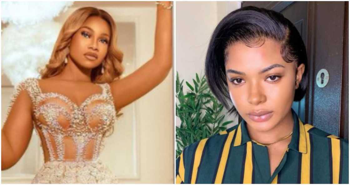 Tacha consoles Liquorose Tacha consoles Liquorose