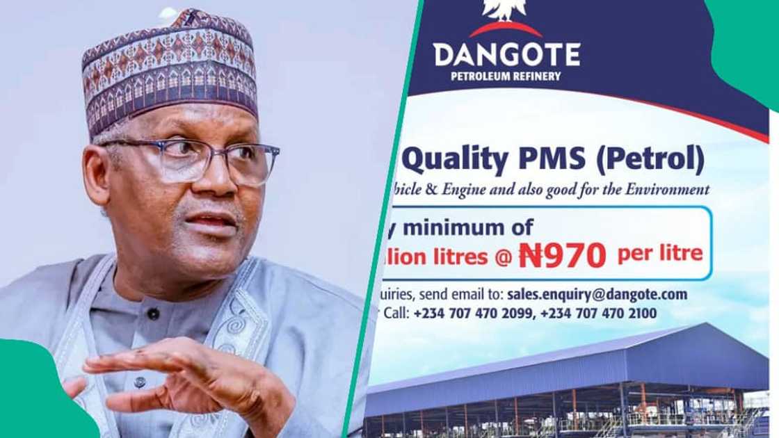 Dangote Dangote
