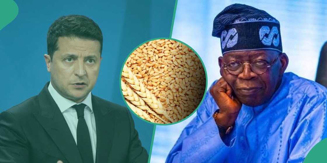 Ukraine ta turo hatsi tan dubu 25 ga Najeriya don rage radadin matsalar abinci Ukraine ta turo hatsi tan dubu 25 ga Najeriya don rage radadin matsalar abinci