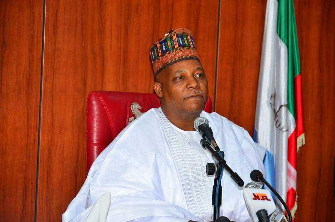 Shettima Shettima