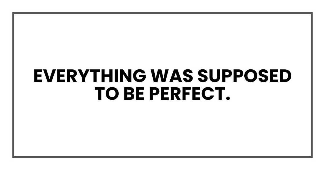 Everything was supposed to be perfect. Everything was supposed to be perfect.