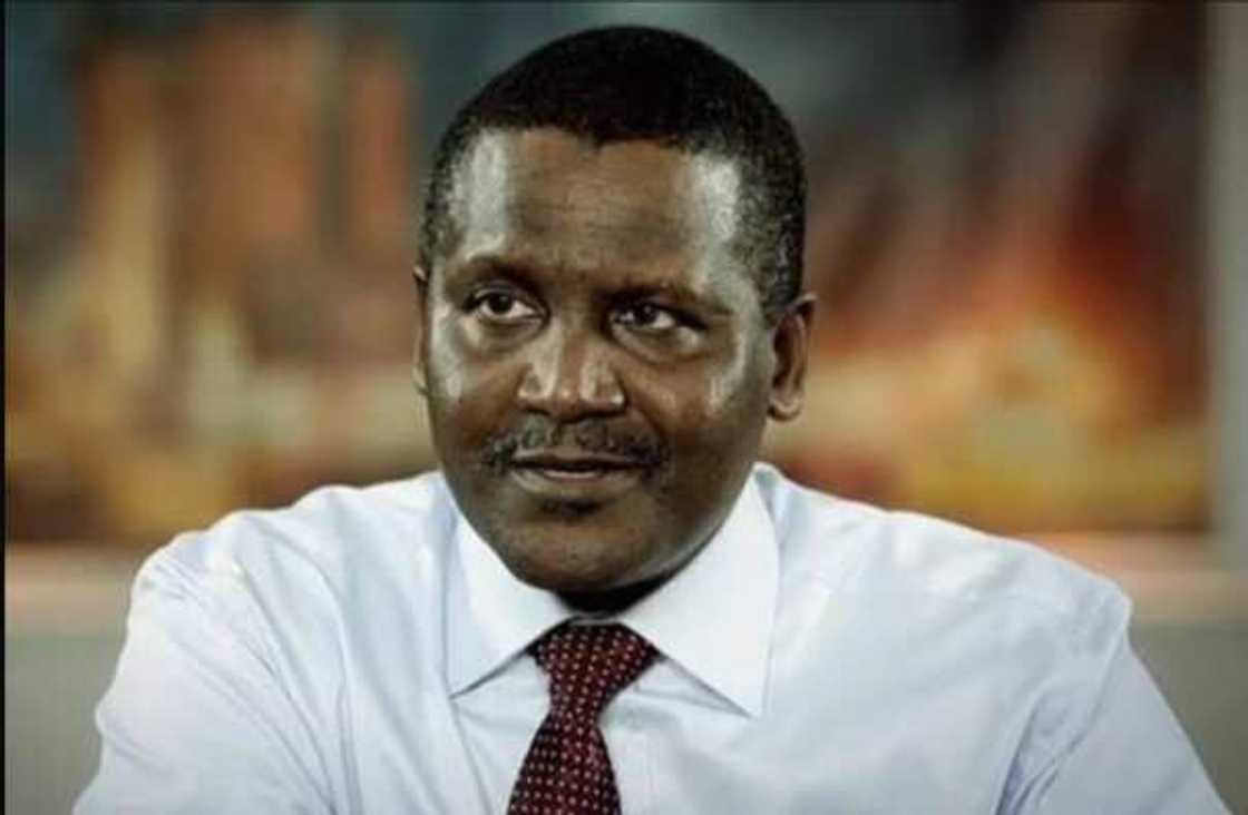 Aliko Dangote education history Aliko Dangote education history