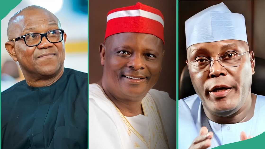 Alleged merger: LP speaks on Atiku, Peter Obi and Kwankwaso's coalition