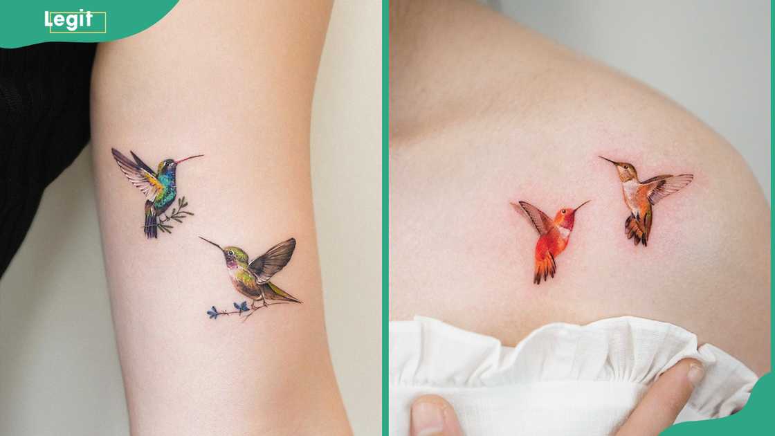 Two hummingbirds tattoo