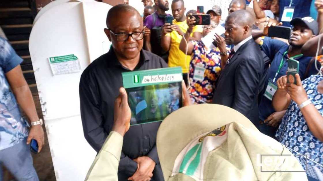 Peter Obi wins own polling unit Peter Obi wins own polling unit