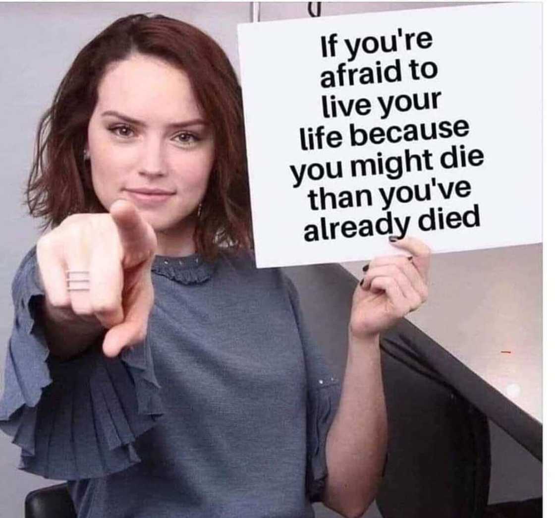 Hump day meme Hump day meme