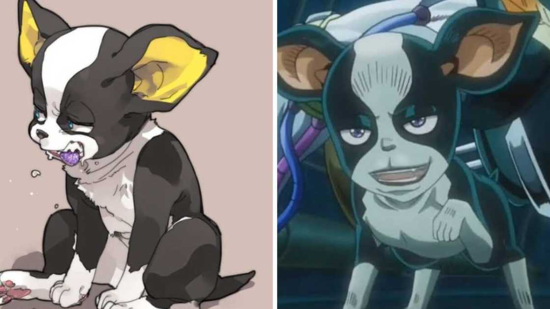 most popular jojo characters most popular jojo characters