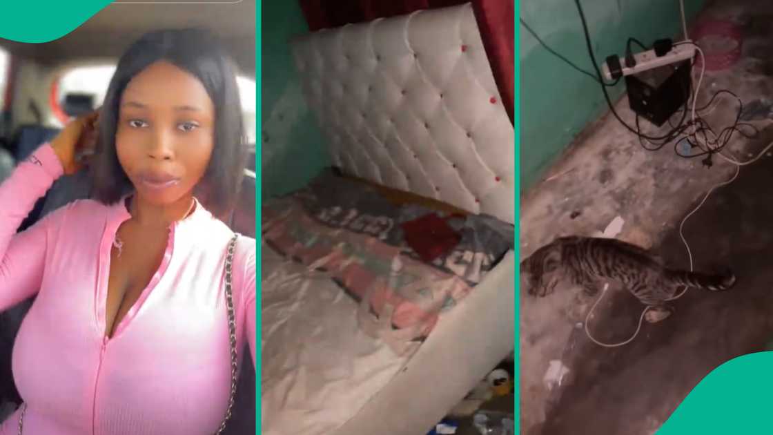 Lady shows her crush's room. Lady shows her crush's room.