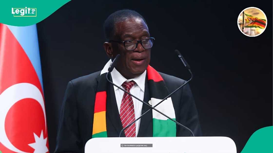 Zimbabwe bans 9 goods from entering or leaving the country