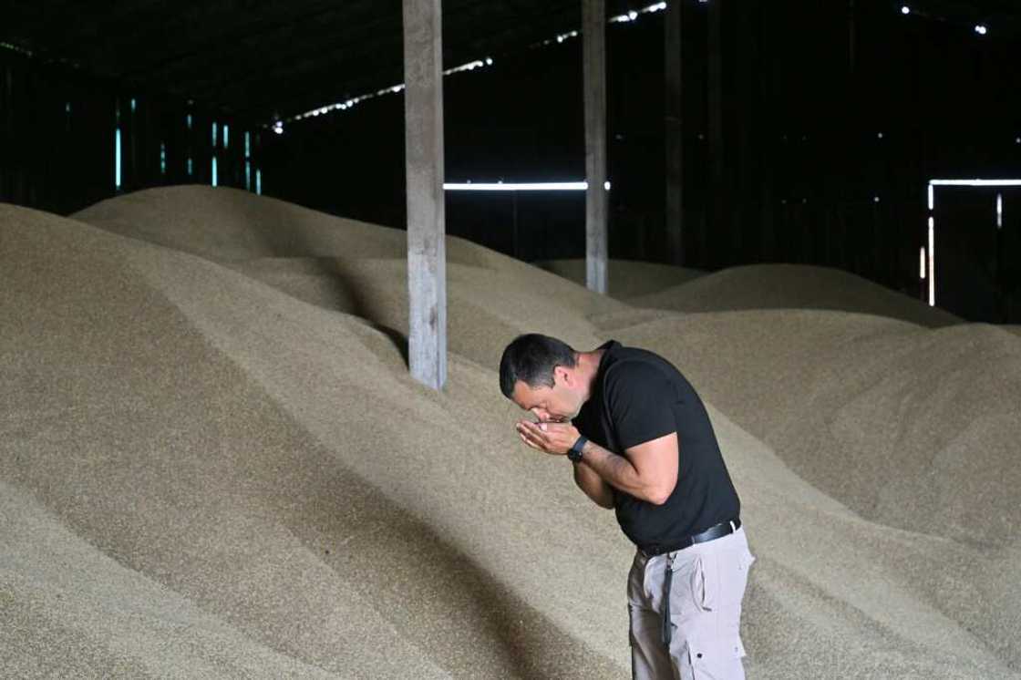 Ukrainian grain producers have lamented Russia's decision to scrap an export deal that will make it more difficult to shift growing stockpiles Ukrainian grain producers have lamented Russia's decision to scrap an export deal that will make it more difficult to shift growing stockpiles