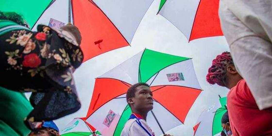 Magoya bayan PDP. Magoya bayan PDP.