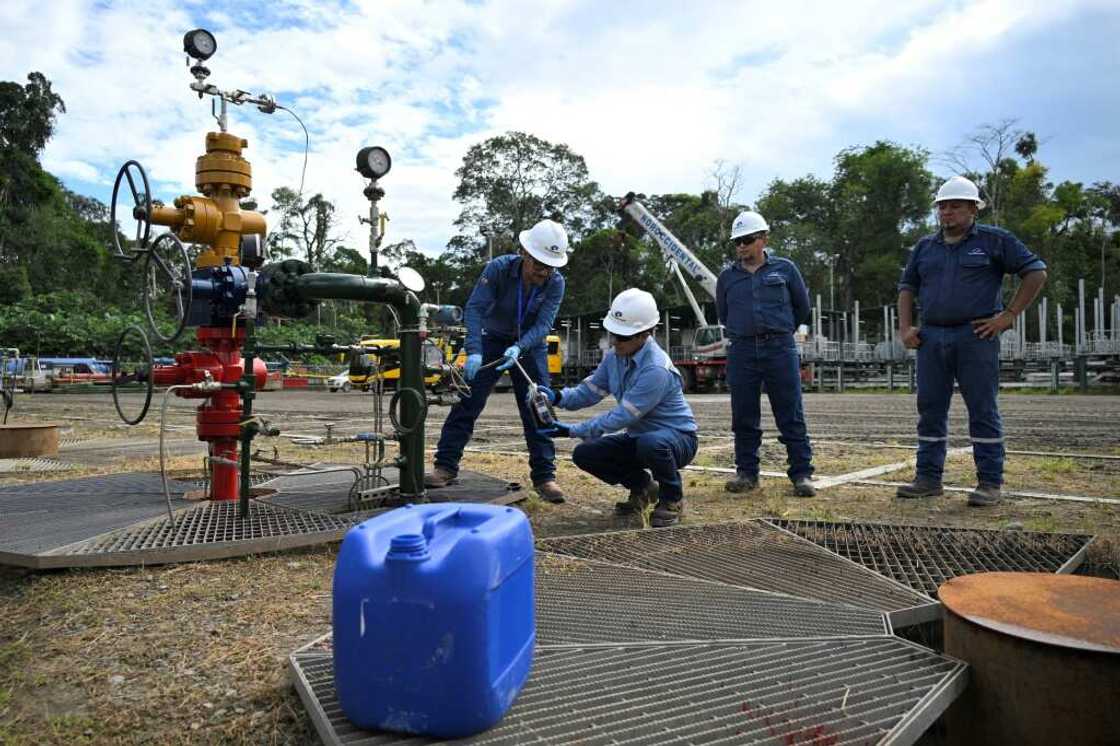 State-owned Petroecuador is authorized to exploit about 300 hectares of the Yasuni State-owned Petroecuador is authorized to exploit about 300 hectares of the Yasuni