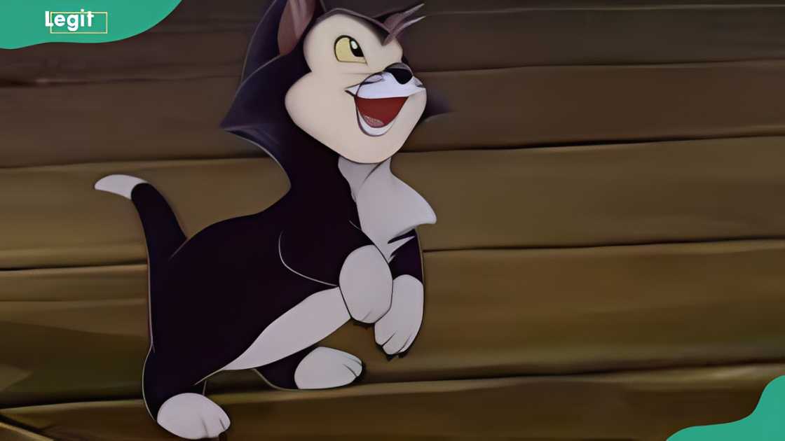 Figaro Figaro