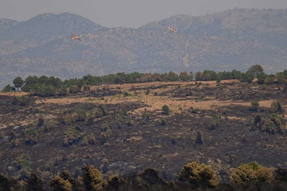 Close to 200,000 hectares (495,000 acres) of forest in Spain have been lost to fire so far this year, more than in any other European nation Close to 200,000 hectares (495,000 acres) of forest in Spain have been lost to fire so far this year, more than in any other European nation