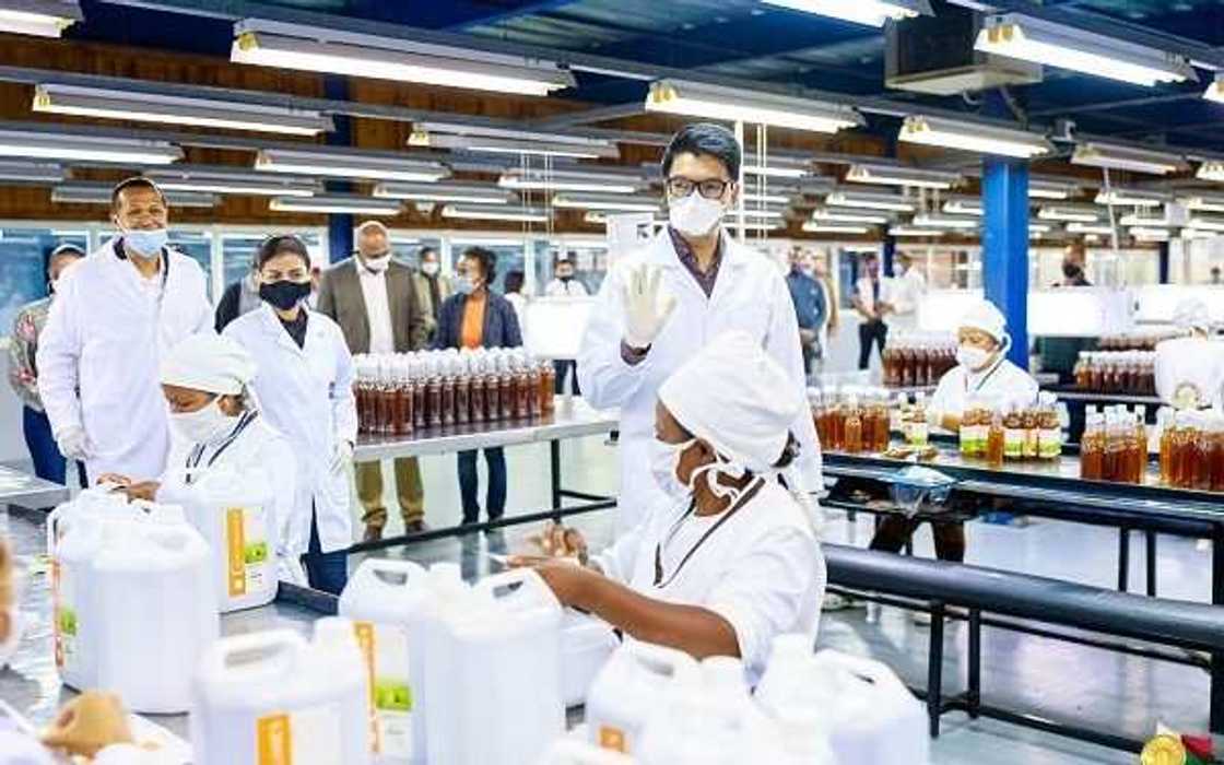 Coronavirus: Buhari finally orders immediate trial of Madagascar’s COVID-19 herbal ‘remedy’ Coronavirus: Buhari finally orders immediate trial of Madagascar’s COVID-19 herbal ‘remedy’