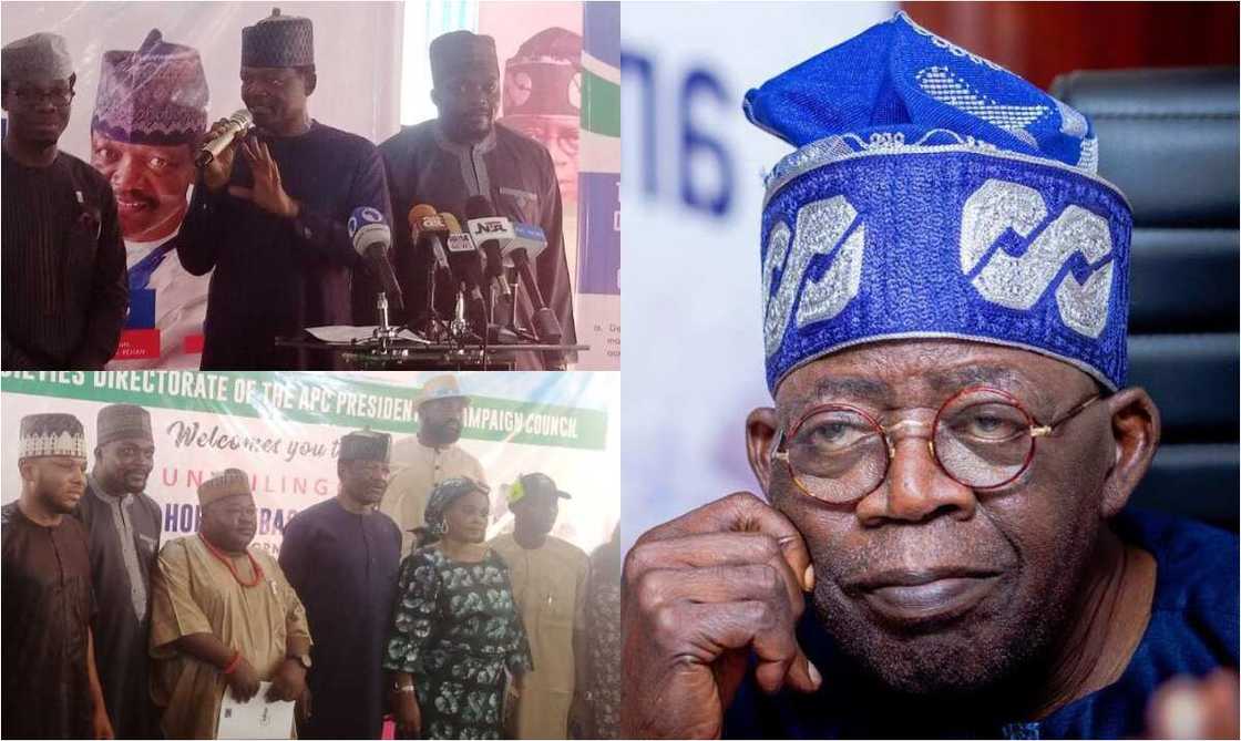 Tinubu, 2023 polls Tinubu, 2023 polls