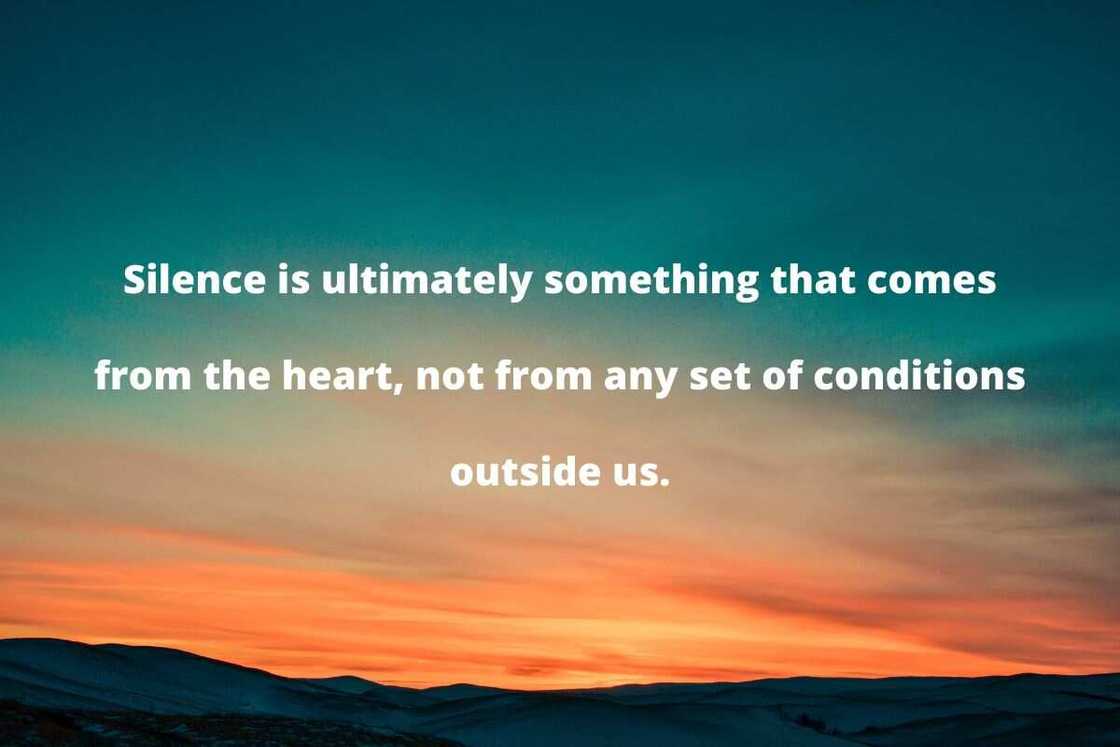 Thich Nhat Hanh quotes on silence Thich Nhat Hanh quotes on silence