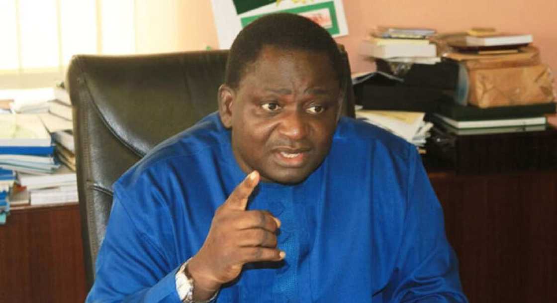 Femi Adesina