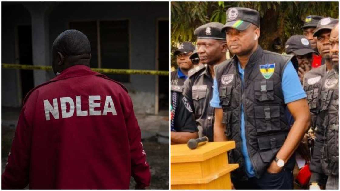 Abba Kyari: Court Grants NDLEA’s Request to Detain Super Cop for 14 Days Abba Kyari: Court Grants NDLEA’s Request to Detain Super Cop for 14 Days