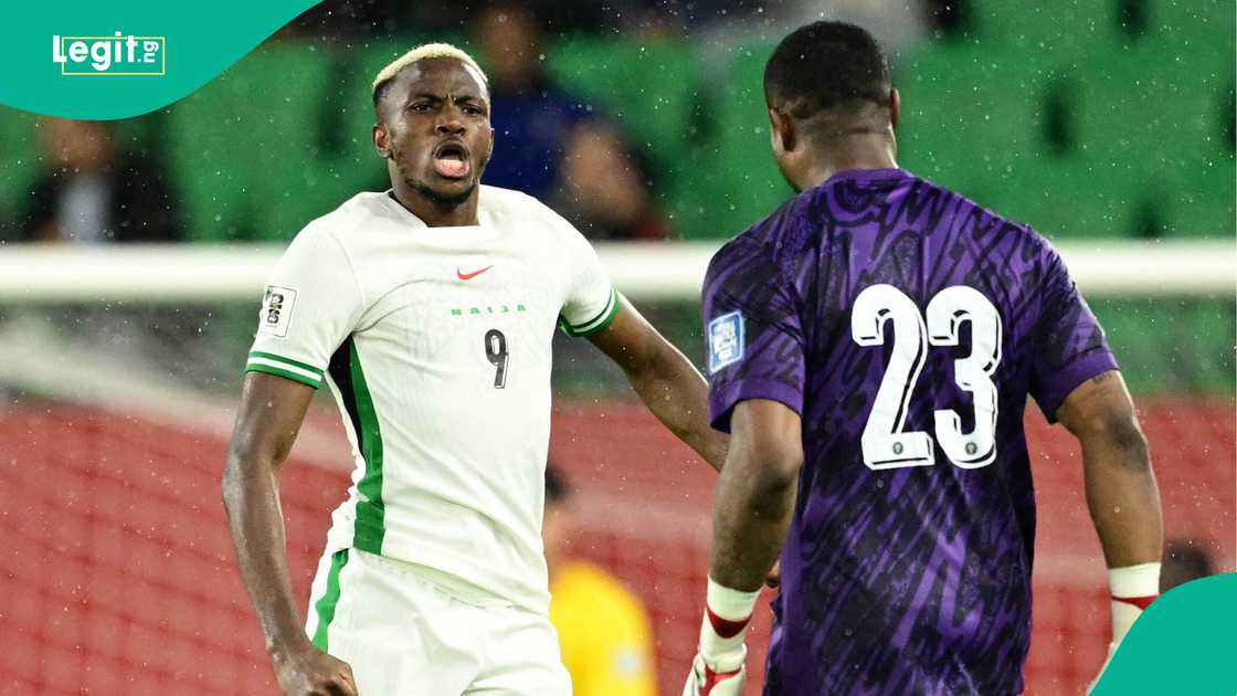 Stanley Nwabali, Victor Osimhen, Nigeria, Gabon, World Cup playoff. Stanley Nwabali, Victor Osimhen, Nigeria, Gabon, World Cup playoff.
