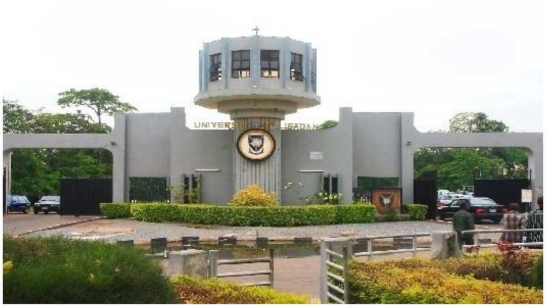 University of Ibadan, JAMB, UTME University of Ibadan, JAMB, UTME