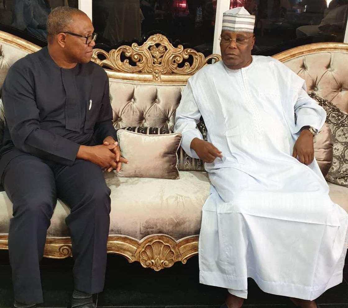 Labour Party blasts Atiku Abubakar Labour Party blasts Atiku Abubakar