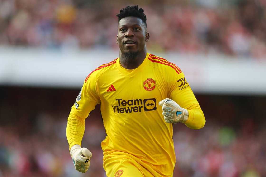 the best goalkeeper in the world the best goalkeeper in the world