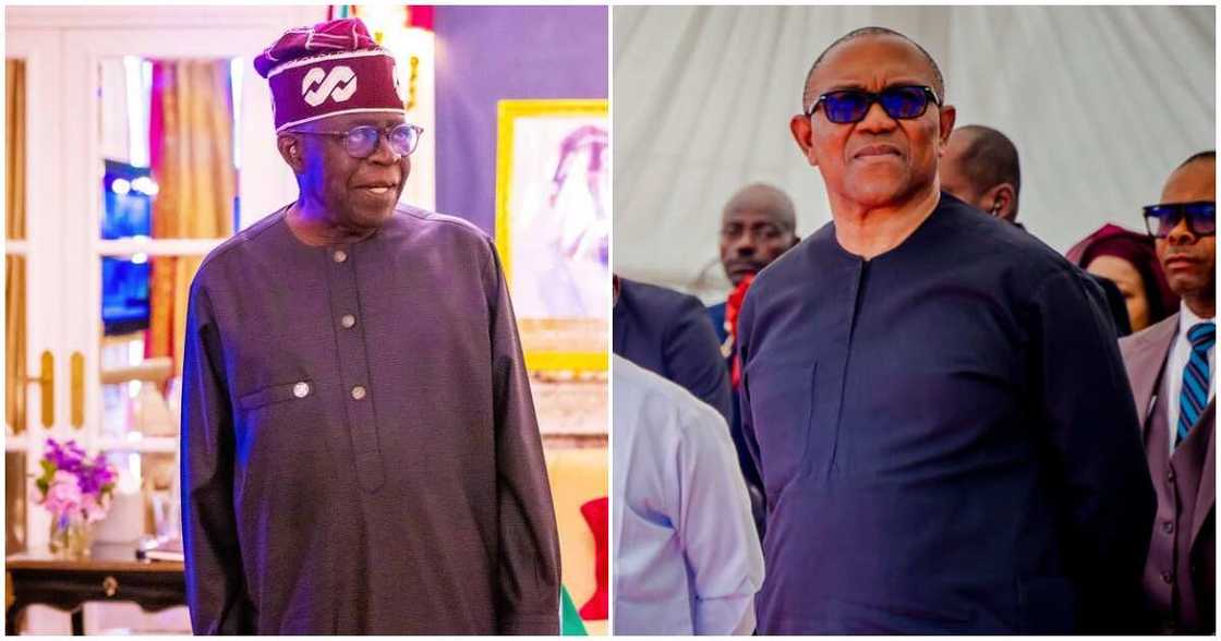 Bola Tinubu/Tinubu news/Peter Obi news today