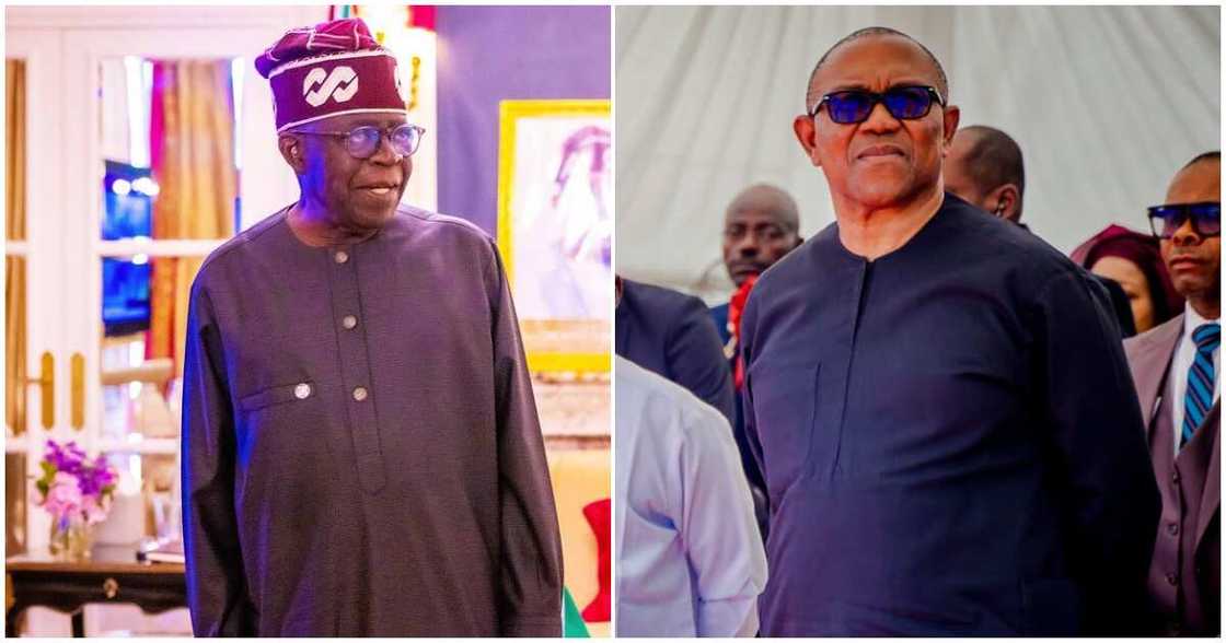 Bola Tinubu/Tinubu news/Peter Obi news today Bola Tinubu/Tinubu news/Peter Obi news today