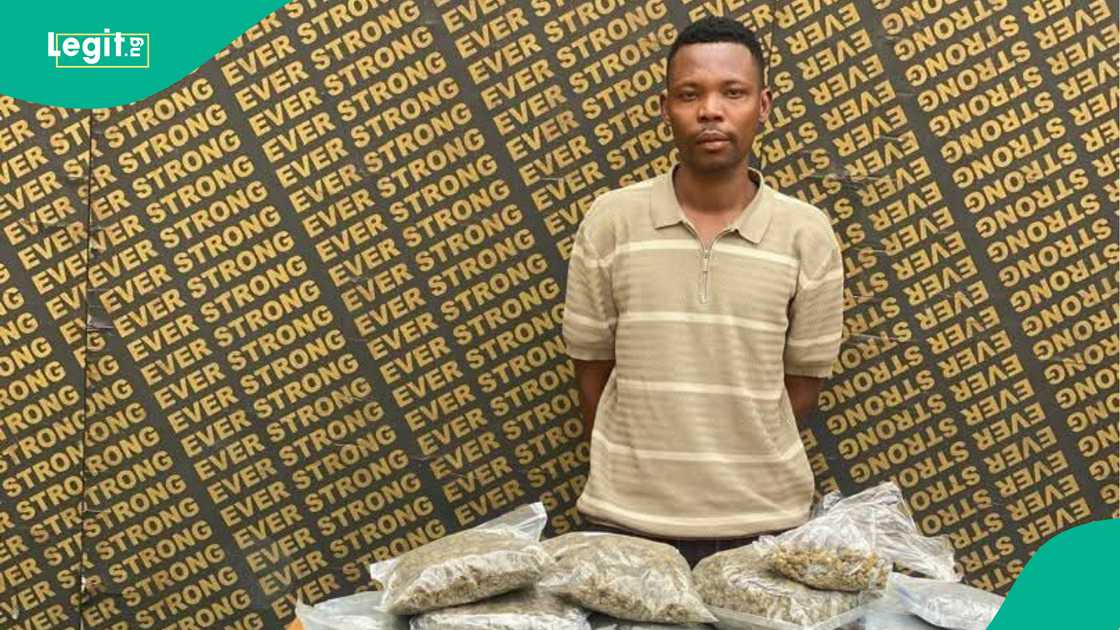 NDLEA ta kama Sunday, babban mai safarar kwayoyi da ta shafe shekara 3 tana nema