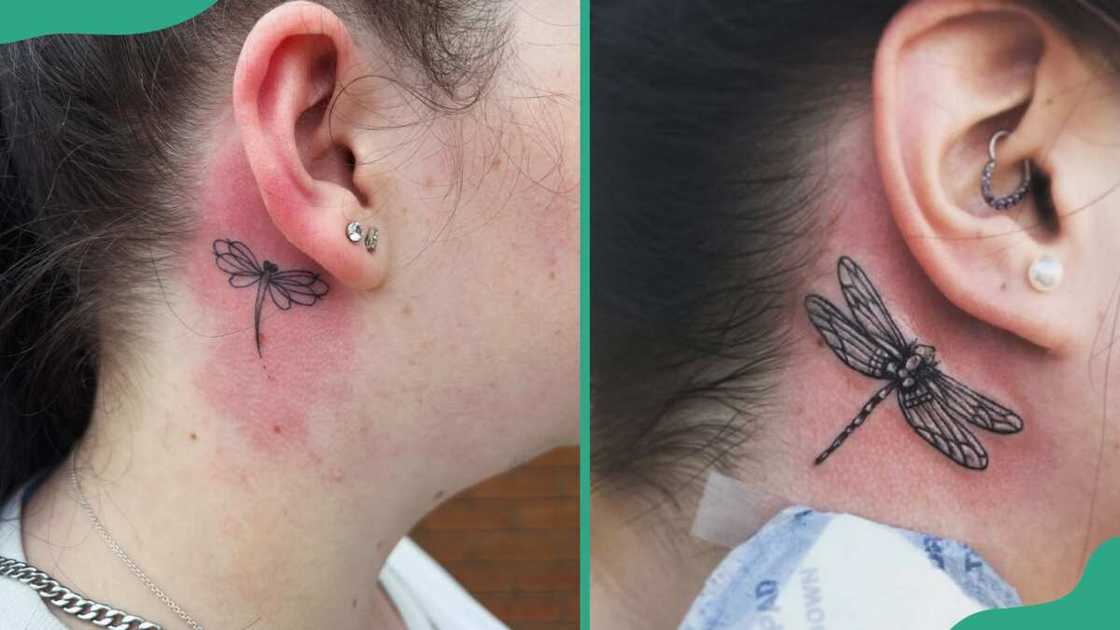Behind-the-ear dragonfly tatoos Behind-the-ear dragonfly tatoos