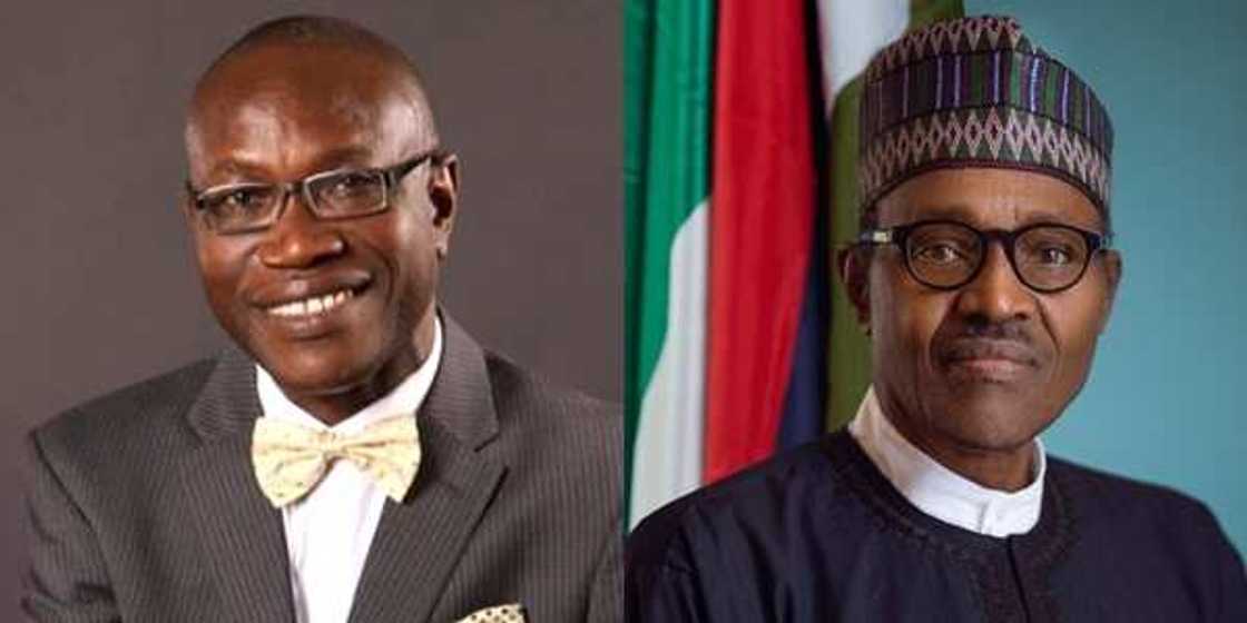 Adesoji Adesugba: President Buhari appoints professor as new MD of NEPZA Adesoji Adesugba: President Buhari appoints professor as new MD of NEPZA
