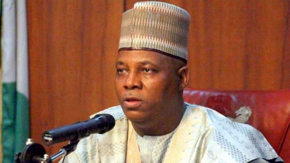 Shettima: Zai zama bala'i ga APC Tinubu ya rasa tikiti