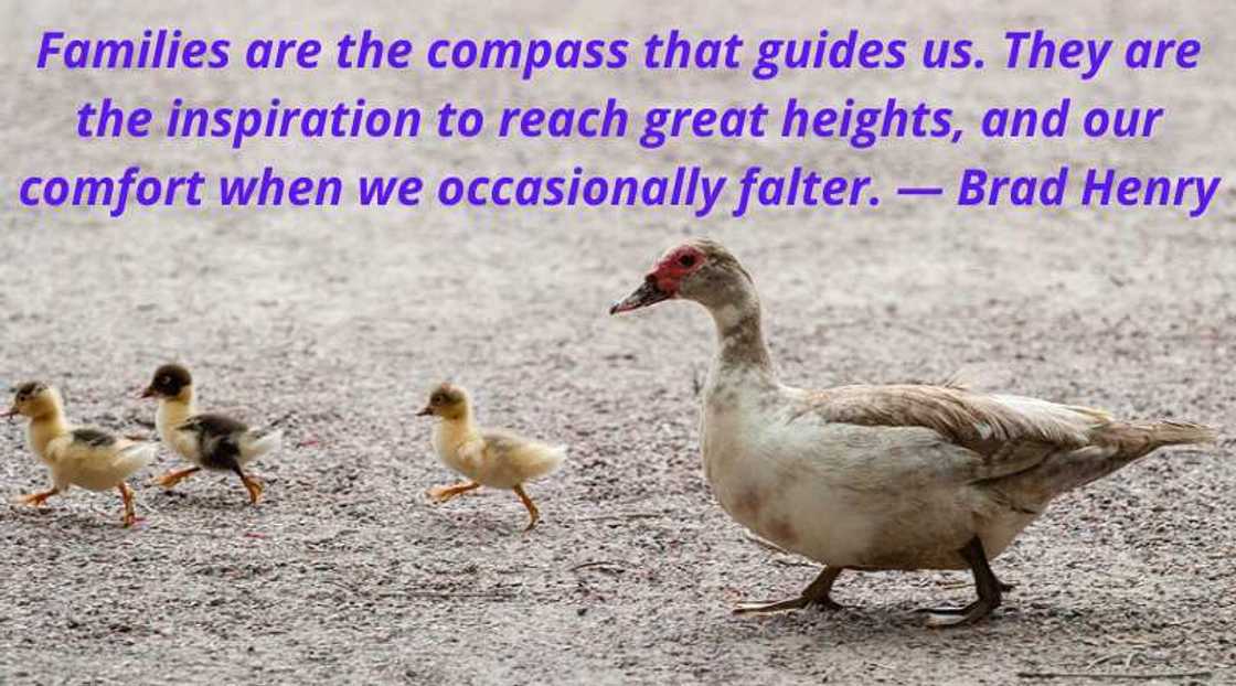 quote about family support quote about family support