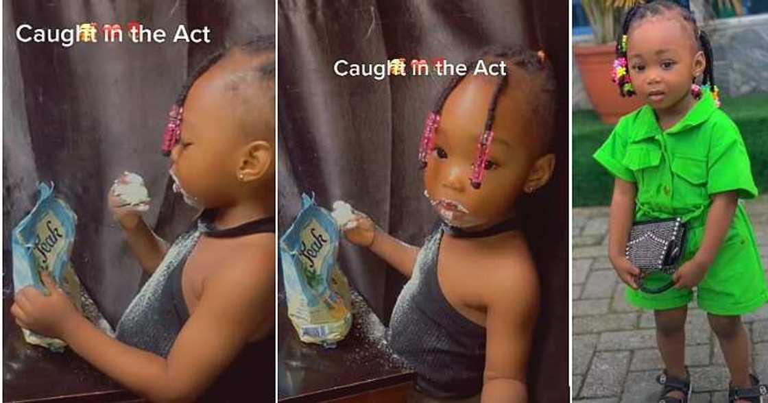 Little girl, licking milk, caught in the act. Little girl, licking milk, caught in the act.