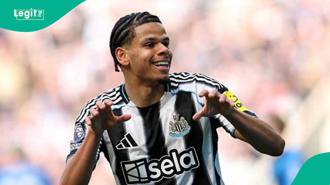 William Osula, NFF, Nigeria, Super Eagles, Newcastle United, Premier League