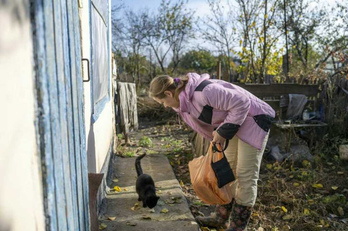 Ukrainians near the Kherson front feel safe enough to stop by their abandoned homes to feed their pets Ukrainians near the Kherson front feel safe enough to stop by their abandoned homes to feed their pets