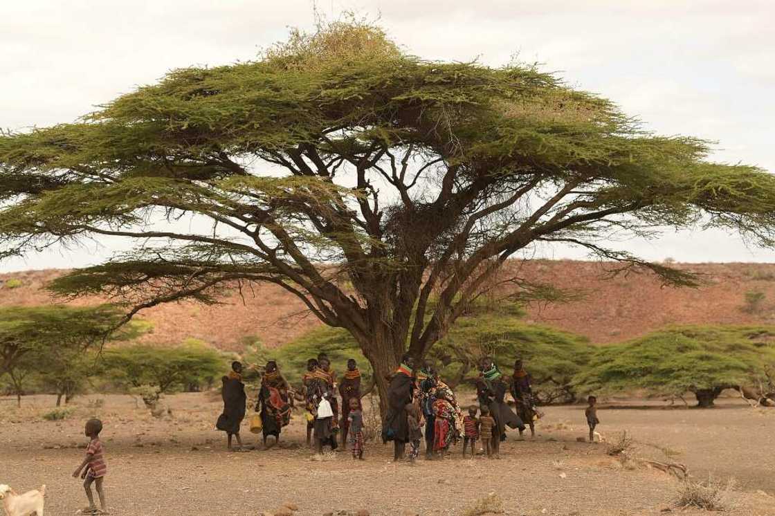 World Vision says RUTF is 'life-saving' in places like the Kenyan village of Purapul World Vision says RUTF is 'life-saving' in places like the Kenyan village of Purapul