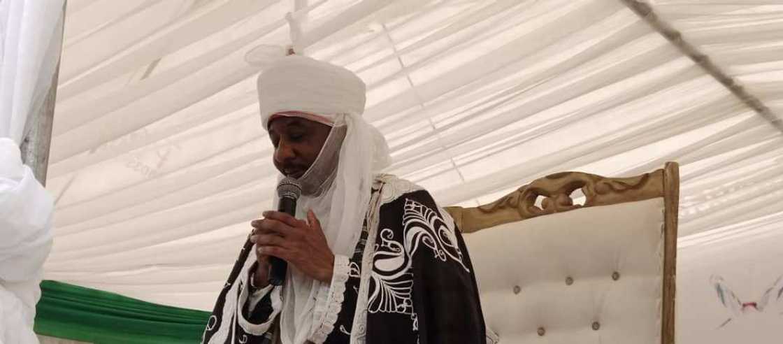 Sanusi Lamido Sanusi kan batun maye gurbin Buhari