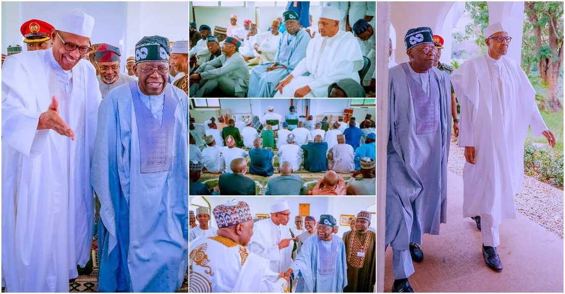 President Muhammadu Buhari, Bola Tinubu President Muhammadu Buhari, Bola Tinubu