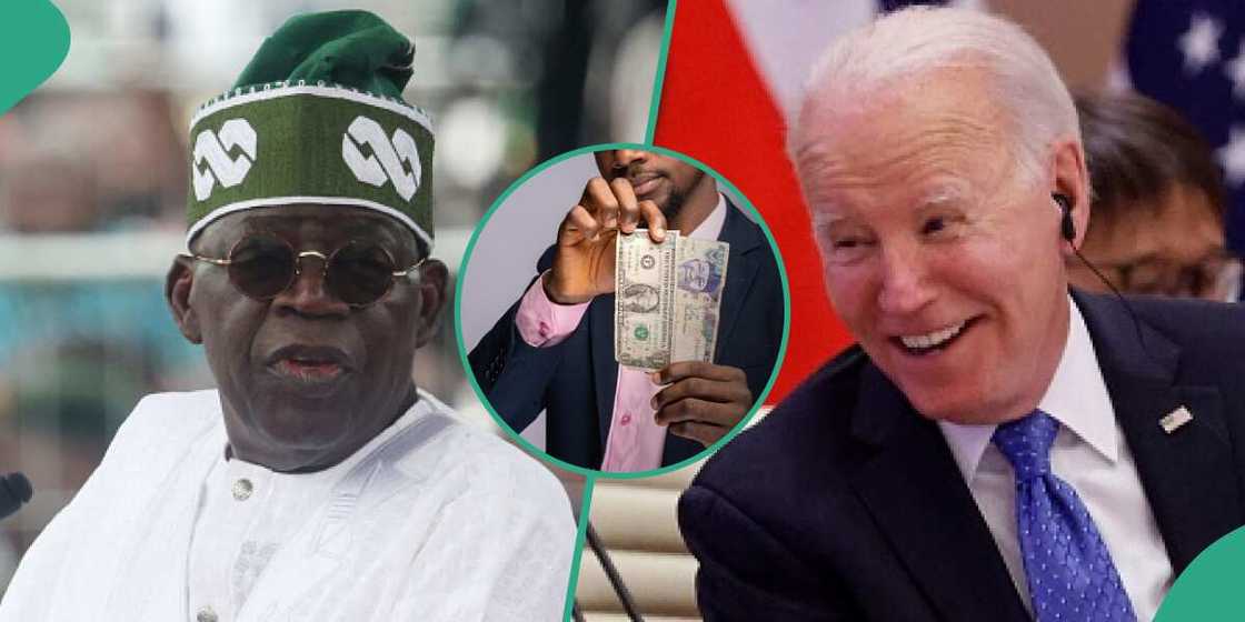 Gaskiyar batu kan shirin Tinubu na daina amfani da naira a koma dala