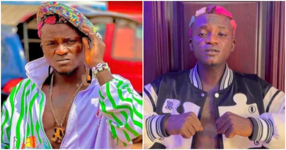 Portable Zazu Portable Zazu