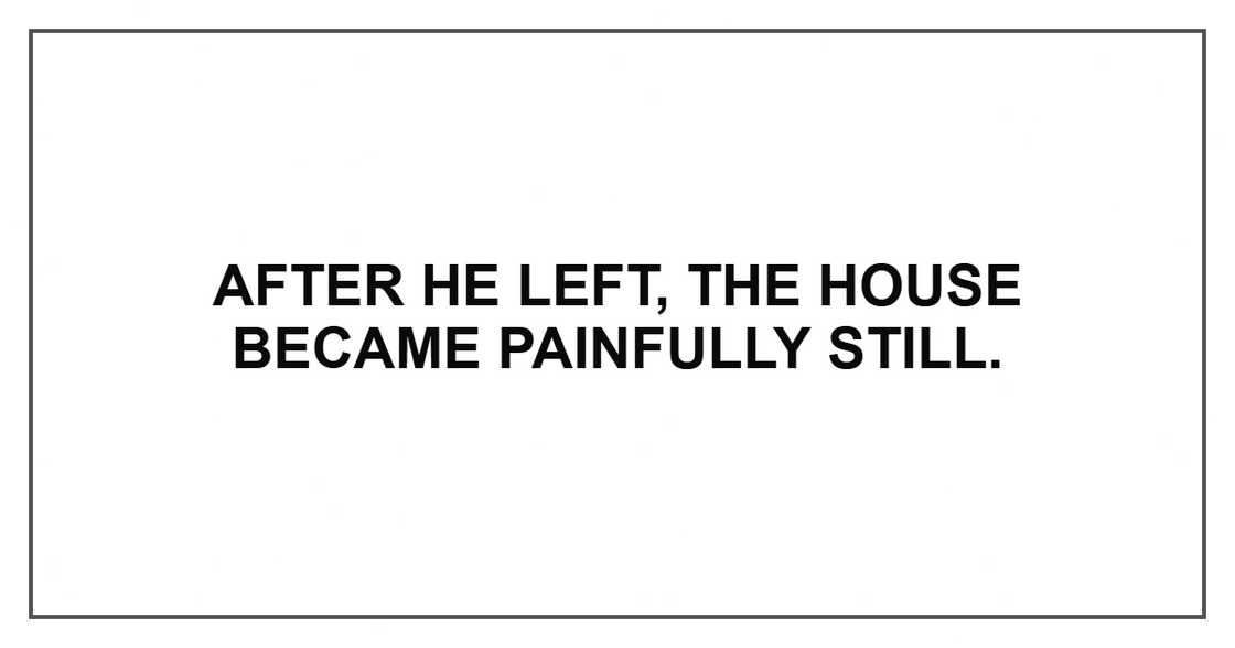 After he left, the house became painfully still. After he left, the house became painfully still.