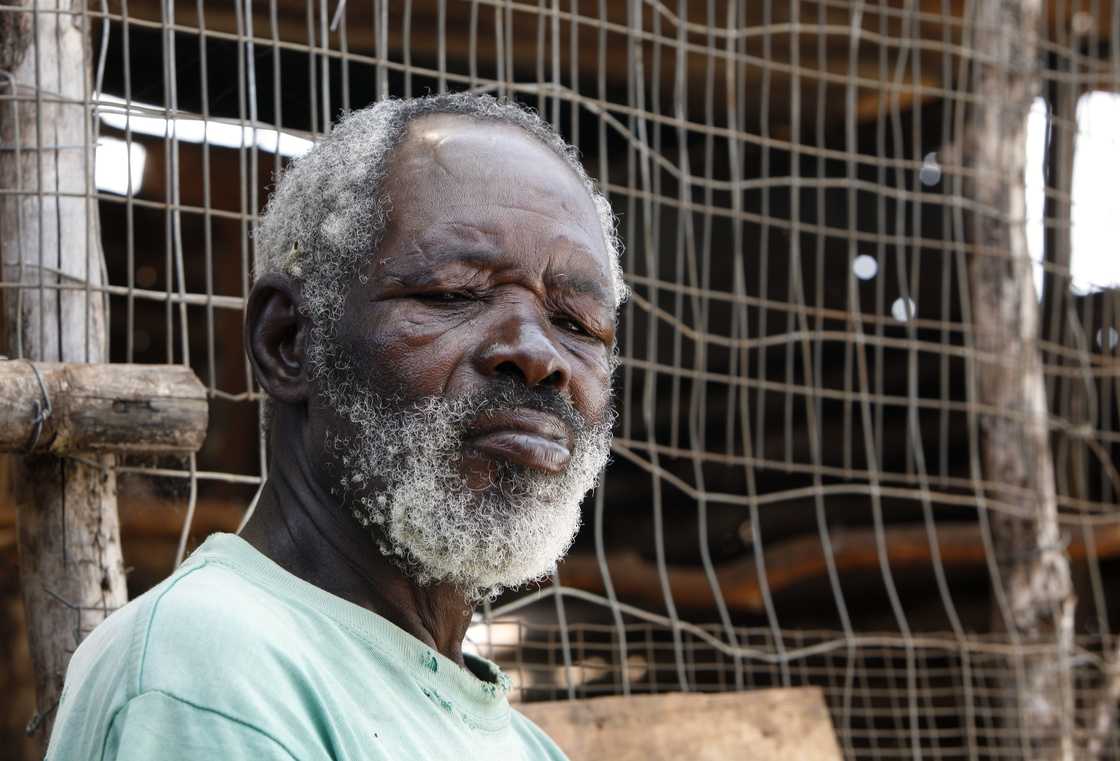 A old man with grey hair