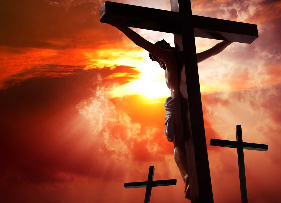 Jesus Christ crucified on the cross