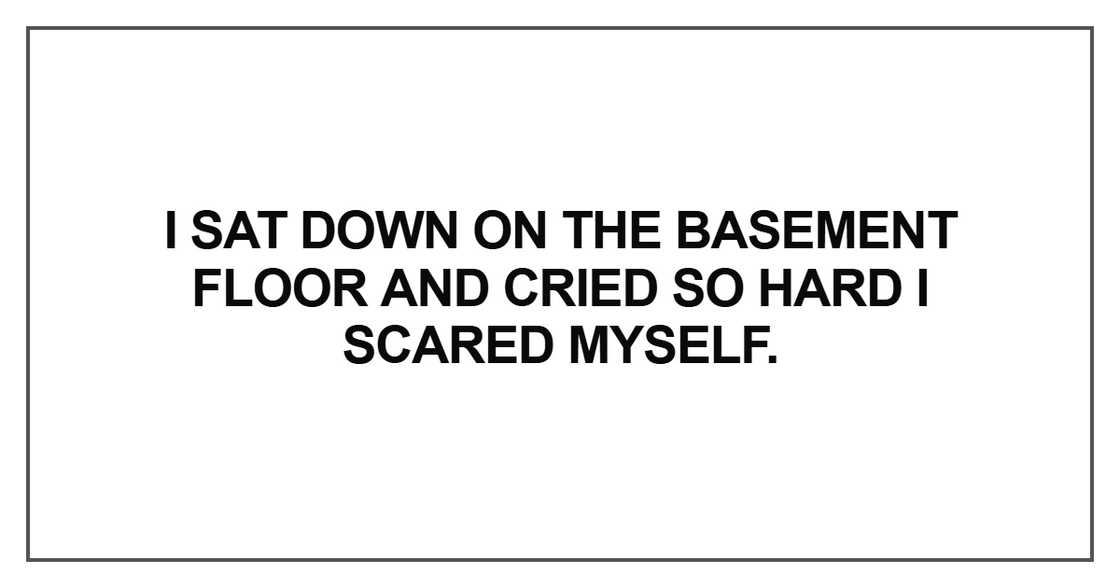 I sat down on the basement floor and cried so hard I scared myself